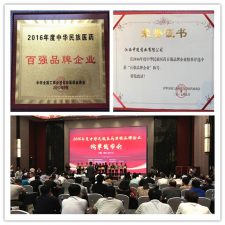 中進藥業(yè)榮獲2016年度中華民族醫(yī)藥百強品牌企業(yè)榜單
